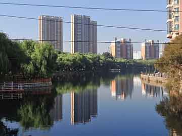 在版权危机中重塑观影习惯：青禾传媒的启示